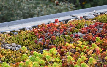 the cost of Cleethorpes green roof installation