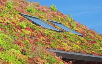 Cleethorpes living roof systems