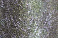 Cleethorpes fibreglass roof work